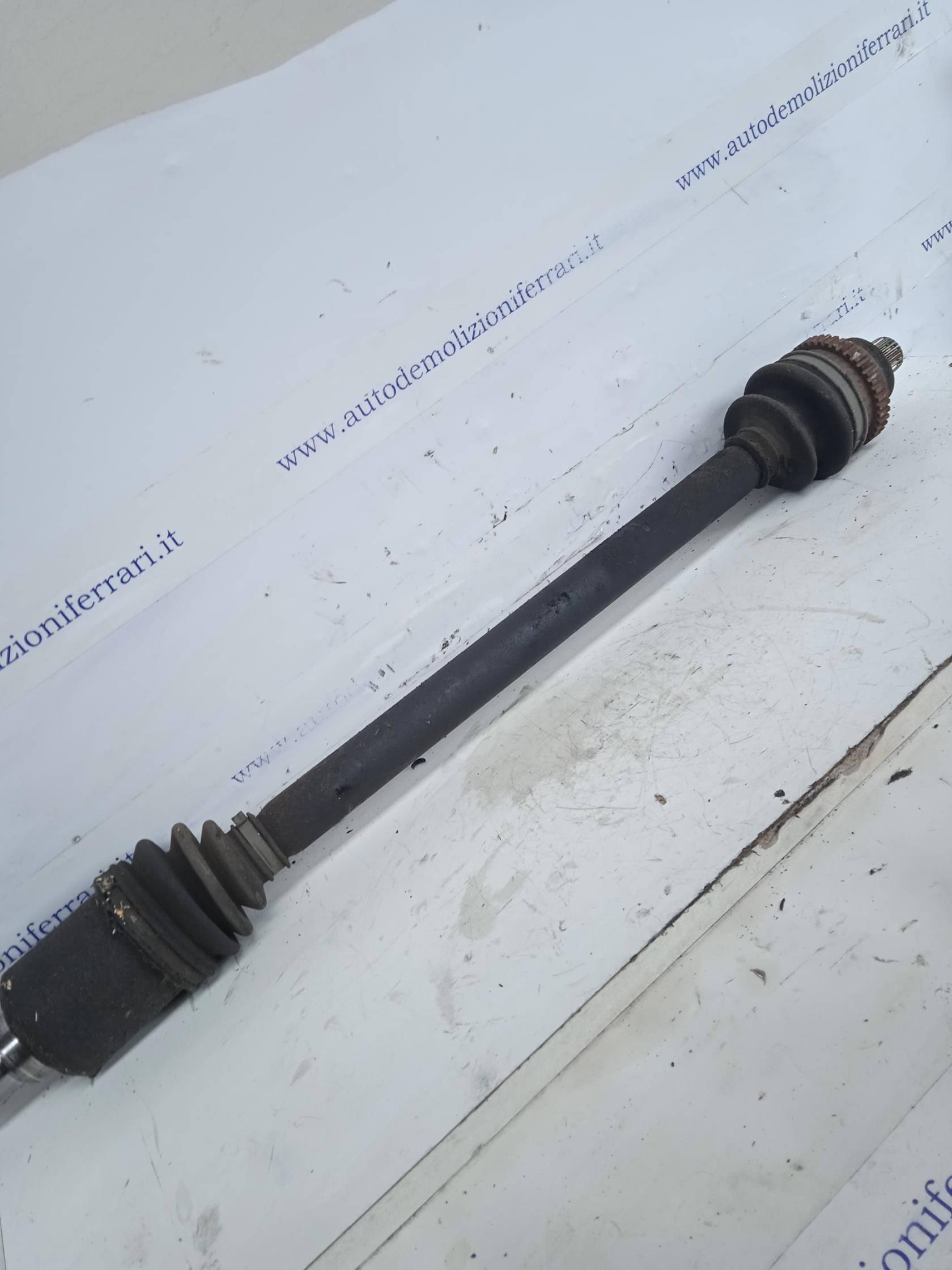 Semialbero ant. compl. dx.